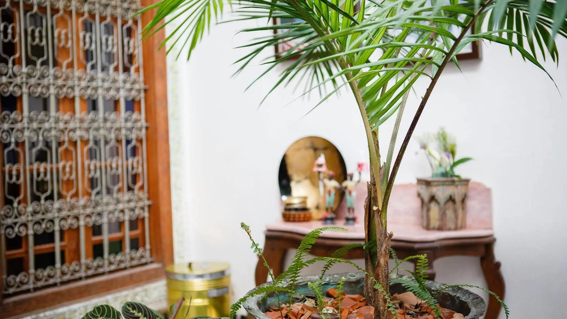 Riad Idrissy Fes 3*,  Morocco